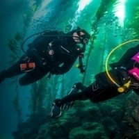 PADI Rescue Diver Cursus